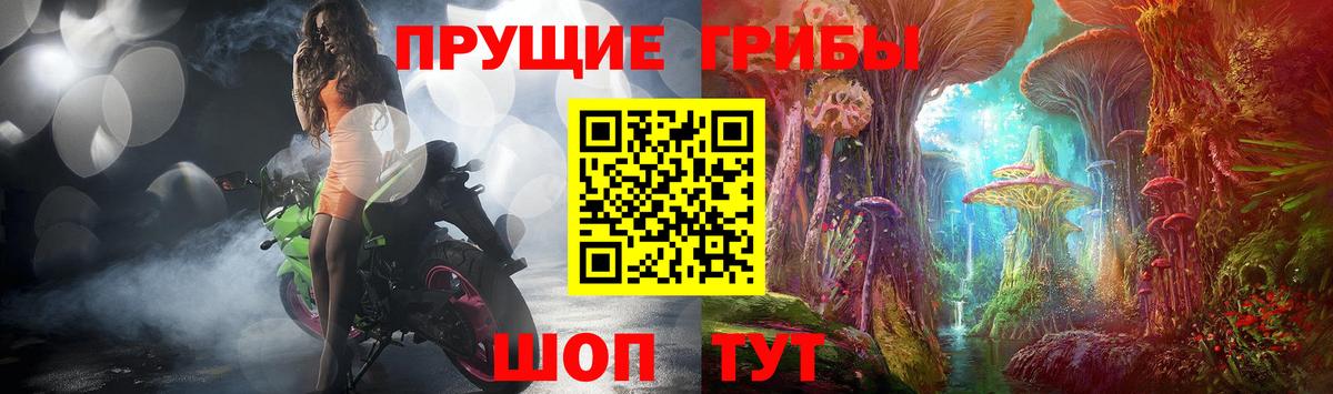 Новодвинск  даркнет сайт  Вход с VPN  Псилоцибиновые грибы Psilocybine cubensis 